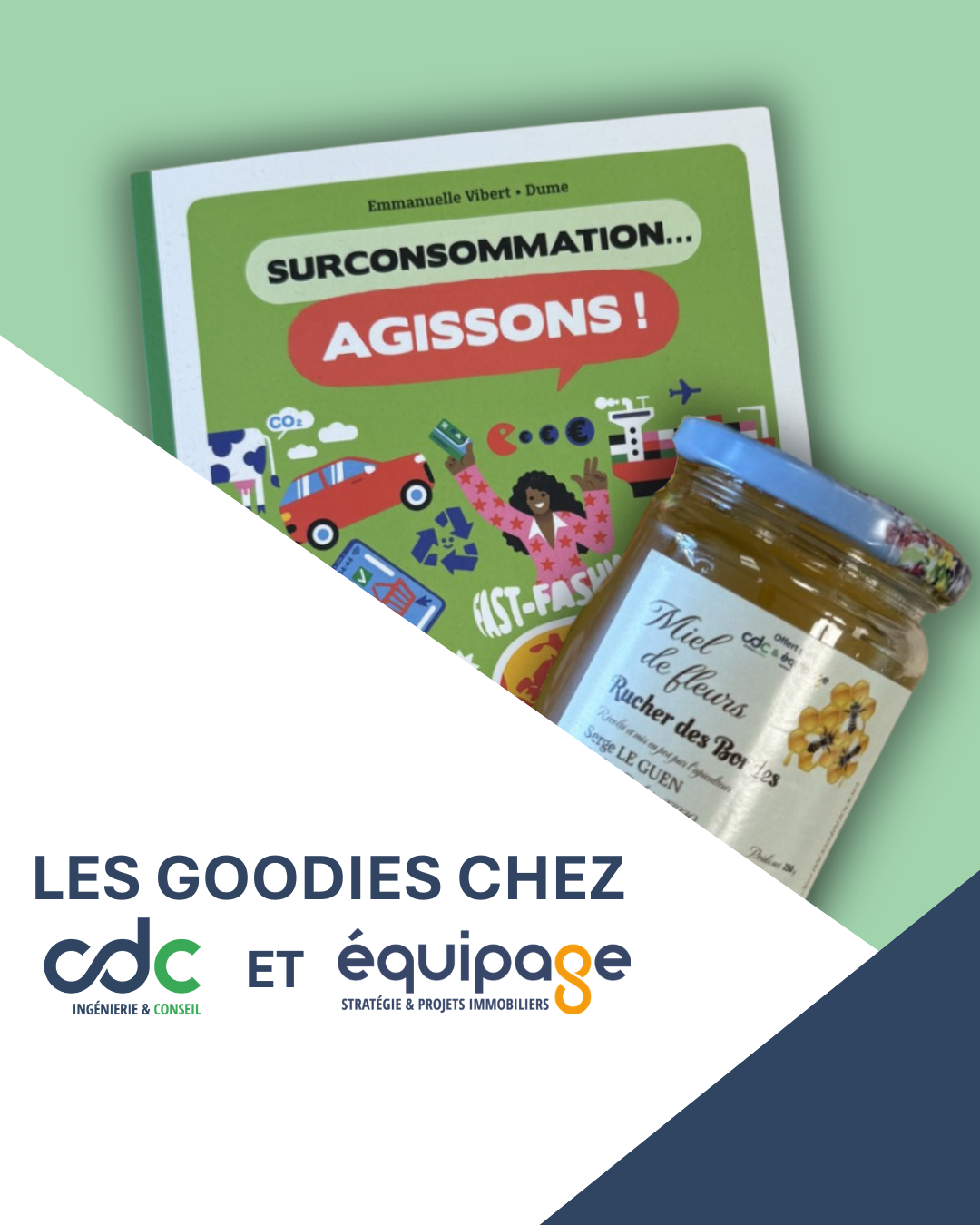 Journée mondiale des abeilles : des engagements qui prennent vie
